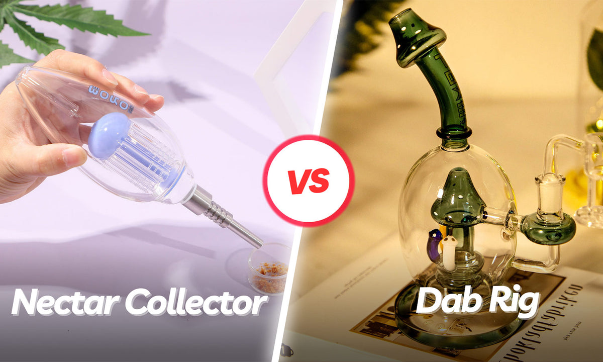 Nectar Collector vs Dab Rig PILOTDIARY