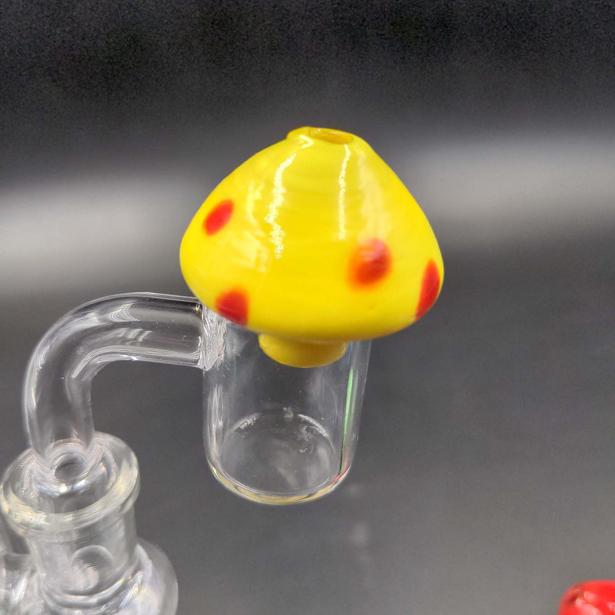 Spotted Mushroom Carb Cap PILOTDIARY