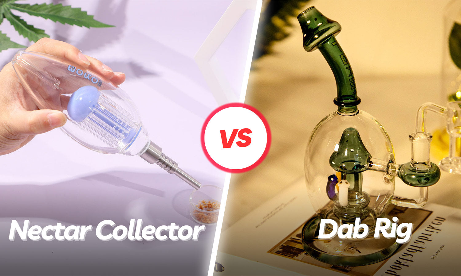 Nectar Collector vs Dab Rig