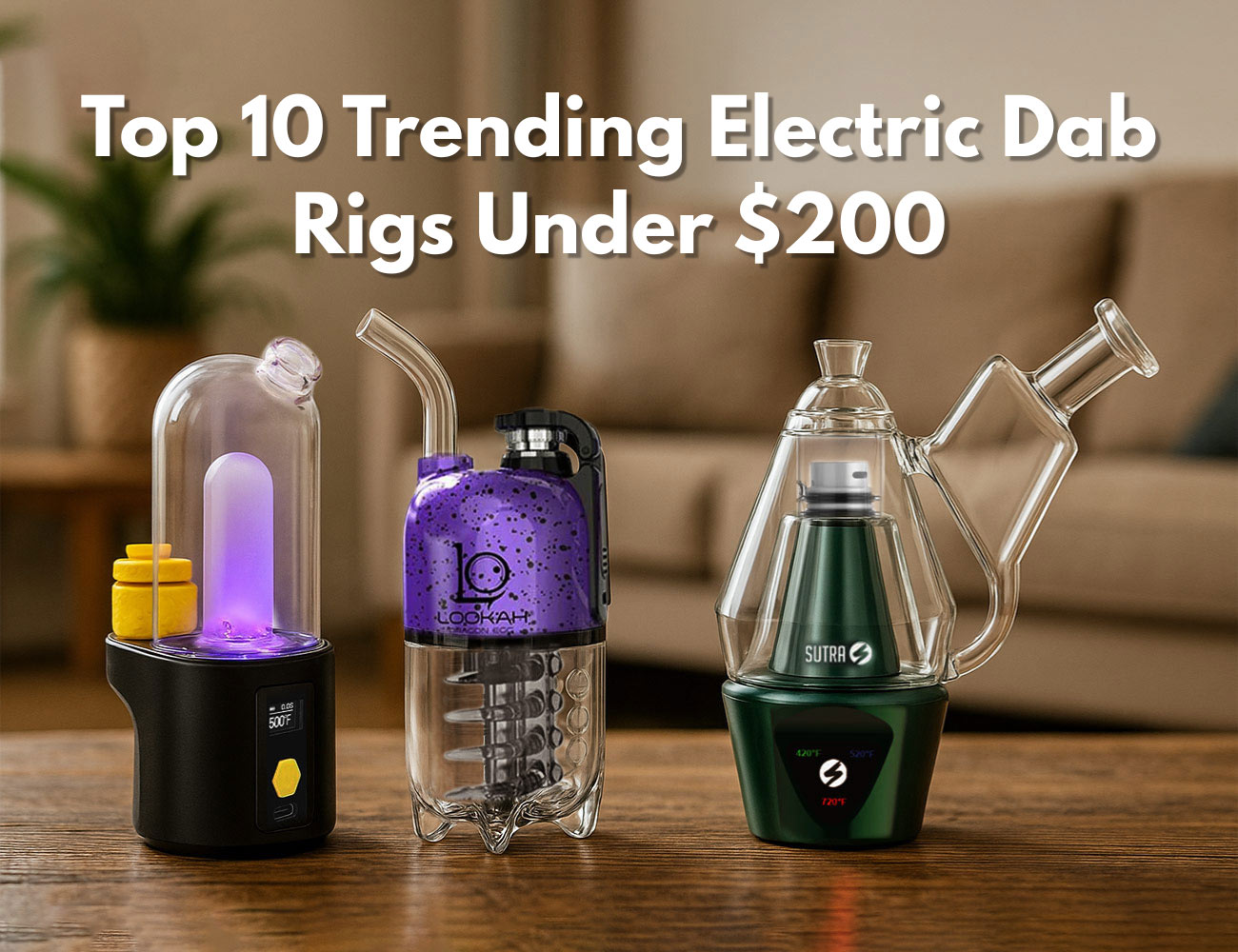 Top 10 Trending Electric Dab Rigs Under $200 for 2025 – PILOTDIARY