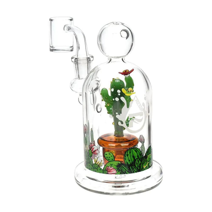 Cactus Terrarium Mini Dab Rig - pilotdiary