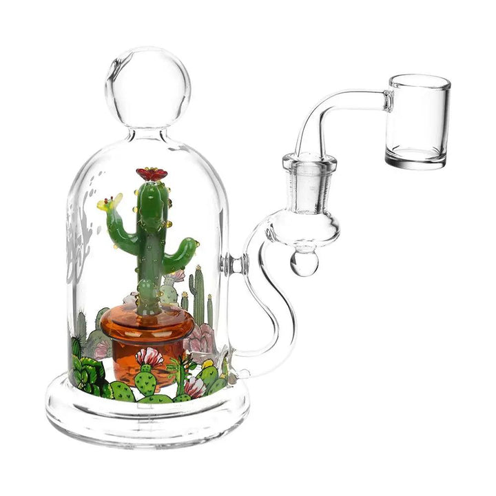 Cactus Terrarium Mini Dab Rig - pilotdiary