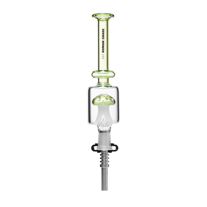 Mushroom Glass Nectar Collector Dab - pilotdiary