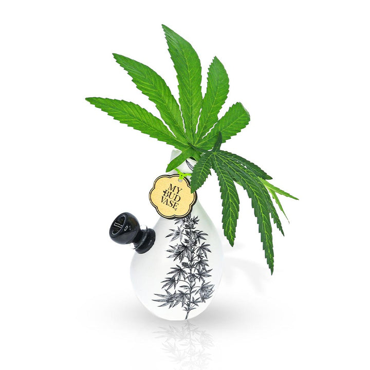 Love Bud Vase Bong - pilotdiary