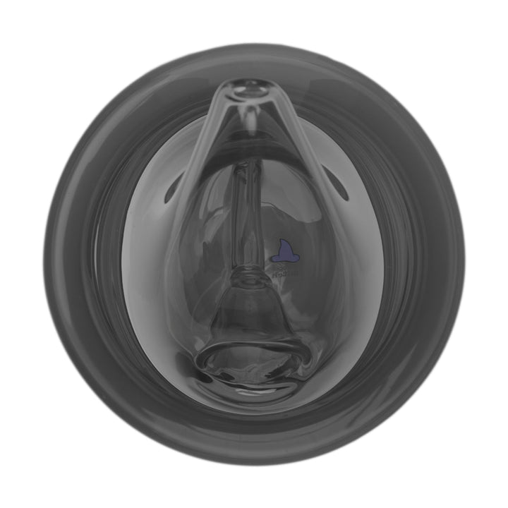 Limited Edition Shelley Halloween Bubbler – Halloween-themed witch hat design